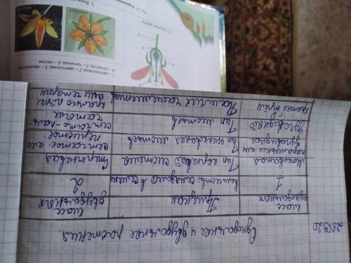 Заполните таблицу. Отразите основные отличия двух классов цветковых растений