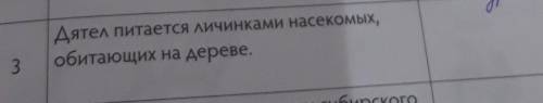 дятел питается личинками насекомых, обитающих на деревеслова. для справок: симбиоз, конкуренция, ней