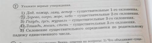 7. Укажите верные утверждения.1) Дед, пожар, заяц, ветерсуществительные 1-го склонения.2) Дерево, оз