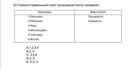 (b) Укажите правильный ответ органоидов клеток прокариот Органоиды Виды клеток1.Лизосомы2.Рибосомы3.