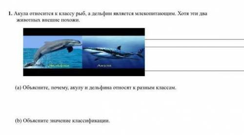 Акула относится к классу рыб,а дельфин является млекопитающим.Хотя эти животны внешне похожи а)объяс