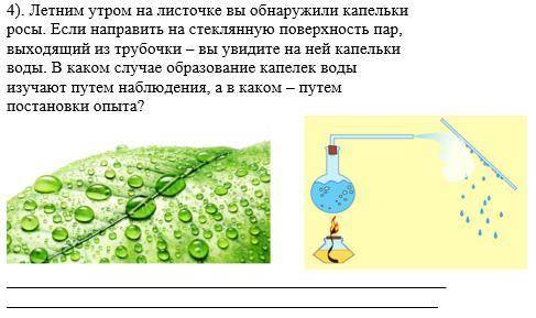 Летним утром на листочке вы обнаружили капельки росы. Если направить на стеклянную поверхность пар,