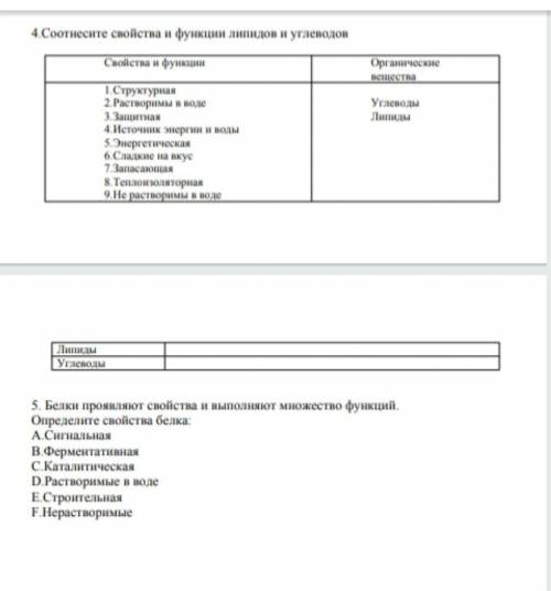 у меня тест осталось только эти бажожда (надо выполнить 4 и 5)