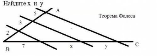 Найдите х и у. Теорема Фалеса. ​