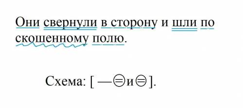 Выполните синтаксический разбор предложения:Они свернули в сторону и шли по скошенному полю.​