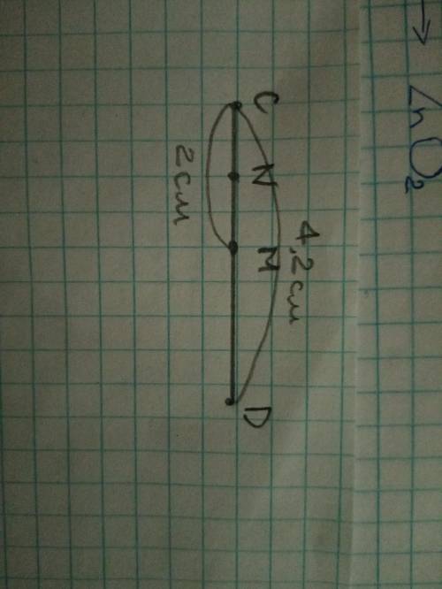 3. Постройте отрезок CD, равный 4 см 2 мм, и отметьте на нем точки М и Wтак, чтобы точка Nлежала меж