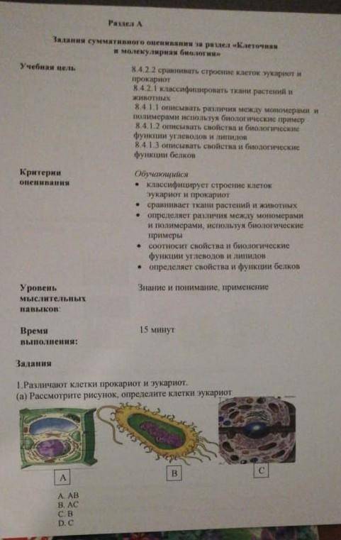 Суммативное оценивание за раздел клеточная и молекулярная биология 8 класс​