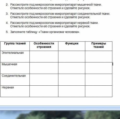 Рисунки не надо 1. Рассмотрите под микроскопом микропрепарат эпителиальной ткани. Отметьте особеннос