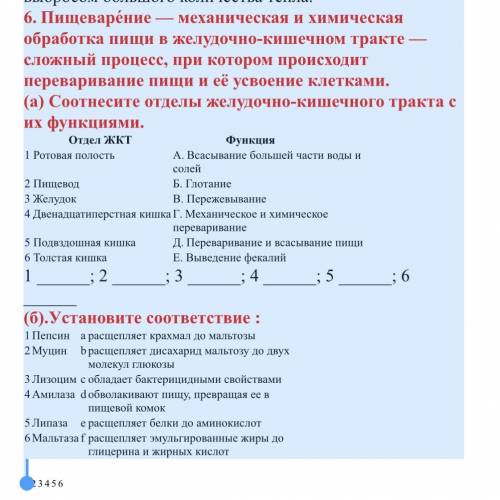 5. Выберите верное утверждение о парниковом эффекте. a) Парниковые газы обладают нагреваться при вза