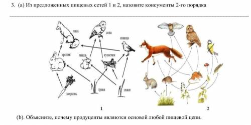 Вопрос заключается в картинке​