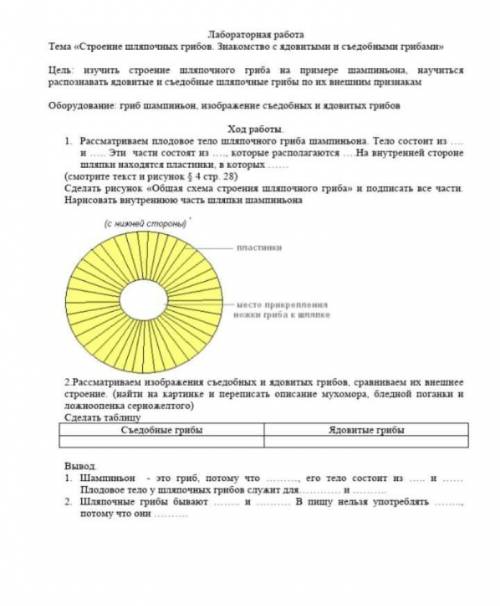 Очень надо ответы на лобараторную работу