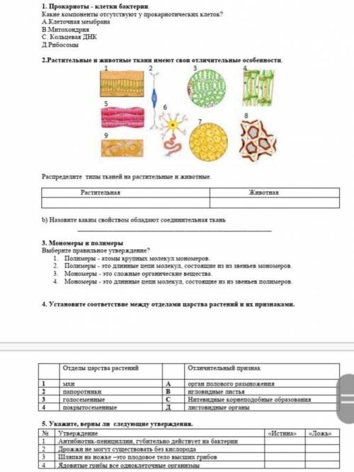 ответы естьСОР по биологии .Прокариоты - клетки бактерин Какие компоненты отсутствуют у прокариотиче