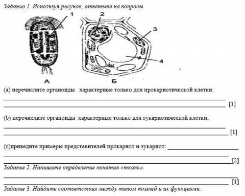 Биология задания из контрольной!