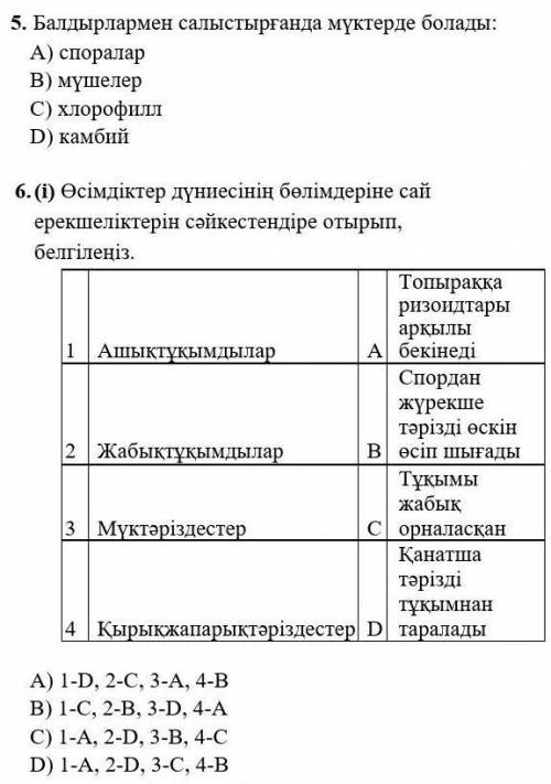 5-6 КОМЕКТЕСЫНДЕРШШШШ​