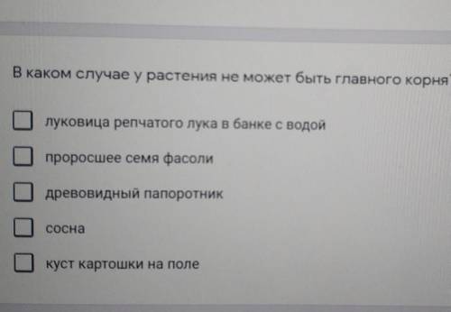 в каком случае у растения не может быть главного корня? (возможно несколько вариантов