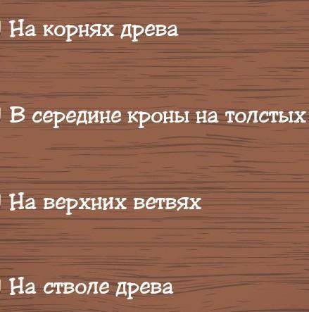 Создавая генеалогическое древо семьи, где нужно располагать детей?​