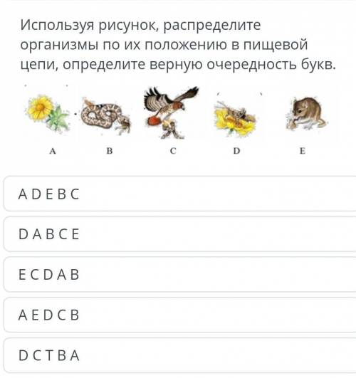 Используя рисунок, распределите организмы по их положению в пищевой цепи, определите верную очередно