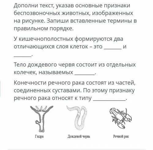 Дополни текст, указав основные признаки беспозвоночных животных, изображенных на рисунке. Запиши вст