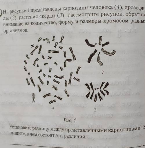 Генетический критерий вида