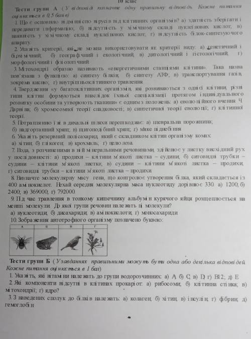 Очень нужно 2,4,7. Остальные тоже можете написать, в проверю свои ответы