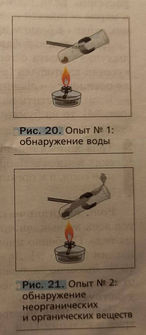 1)что появляется на стенках пробирки при нагревании кусочков растительной ткани? 2)Из чего состоят ж