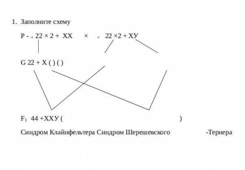 Заполните схему в тетраде