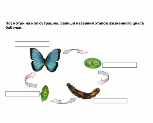 очень сложно кто тому респект​