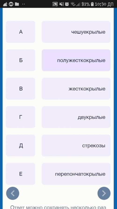 Надо Соотнесите названия отрядов насекомых с изображениями личинок насекомых (А–Д). Некоторые систем