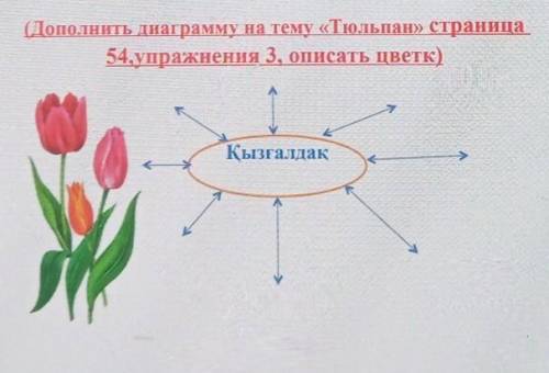 НА КАЗАХСКОМ дополнить просто мне ещё 4 урока сделать надо дою ​