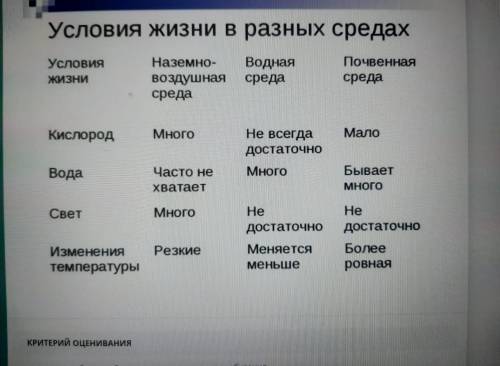 БЫСТРЕЕ УМОЛЯЮ ВААССС