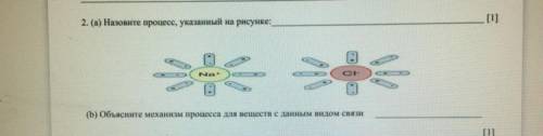 Назовите процесс указанный на рисунке