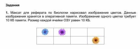 Максат для реферата по биологии нарисовала изображение цветов изображения хранятся в оперативной пам