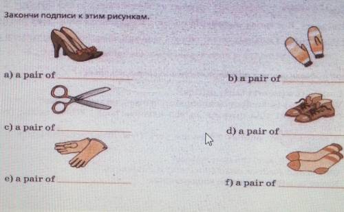 Закончи подписи к этим рисункам а​