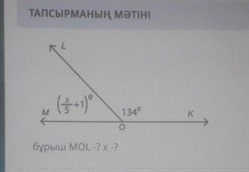 ТАПСЫРМАНЫҢ МӘТІНІM1340KОбұрыш MOL -? Х-?