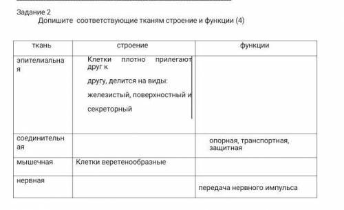 Допишите соответствующие тканям строение и функции