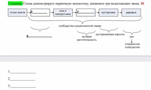 Схема демонстрирует первичную экосистему, напишите три недостающих звена​