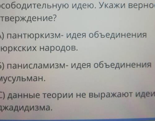 В начале 20-го века панисламизм и пантюркизм превратились в национально освободительную идею. Укажи