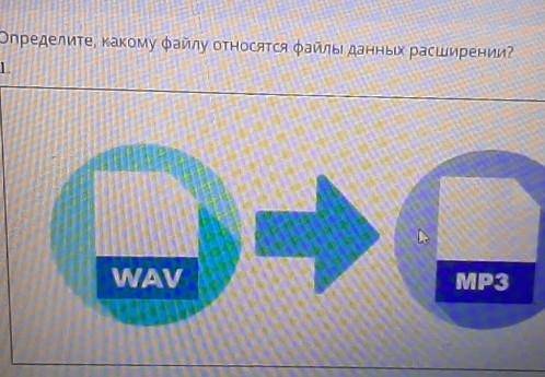 ТЕКСТ ЗАДАНИЯОпределите, какому файлу относятся файлы данных расширении?WAVMP3​