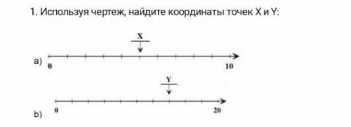 Используя чертеж, найдите координаты точек X и Y: ​