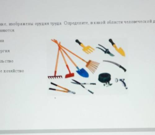 А) На рисунке, изображены орудия труда. Определите, в какой области человеческой деятельности они пр