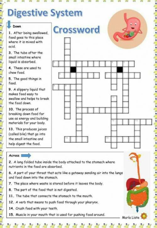 Digestive system crosswordне знаешь не пиши​