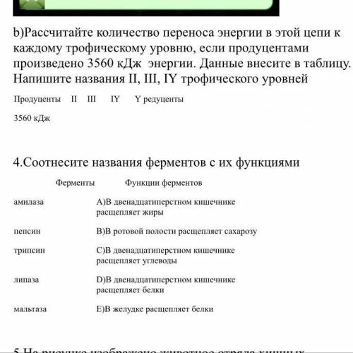 нужно И если 4 знаете , тоже Буду благодарна . Если не знаете проходите мимо