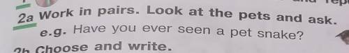 2a Work in pairs. Look at the pets and ask.e.g. Have you ever seen a pet snake?​