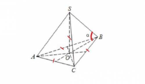 На рисунке изображена правильная треугольная пирамида, высота которой равна стороне основания и равн