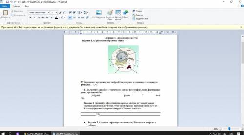 CОР ПО БИОЛОГИИ 9 КЛАСС