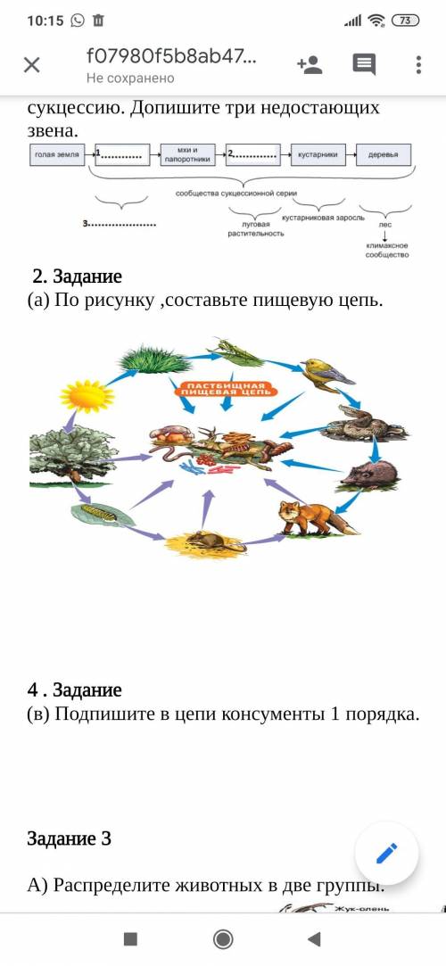 По рисунку ,составьте пищевую цепь.