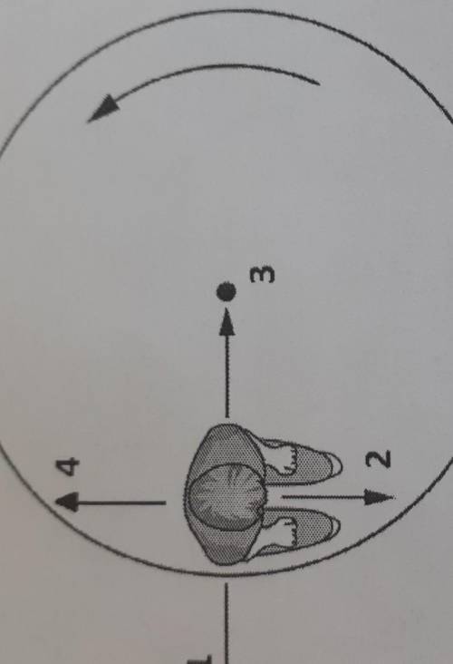 5.Мальчик движется с постоянной скоростью на карусели, как показано на рисунке.[2]А. Укажите, под ка