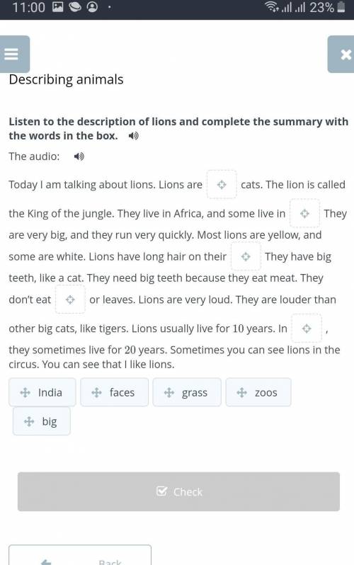 Listen to the description of lions and complete the summary with the words in the box. The audio:Tod