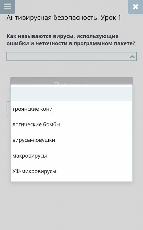 Как называются вирусы, использующие ошибки и неточности в программном пакете