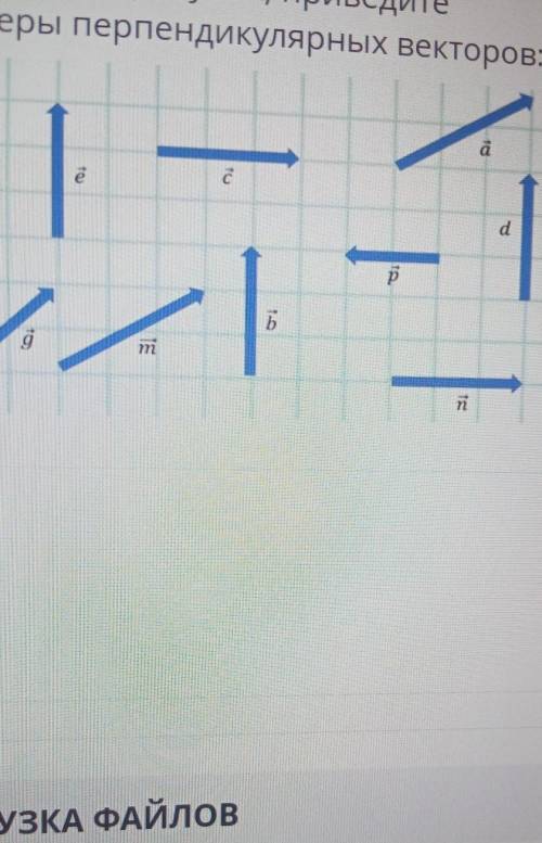 Задания1. Используя рисунок, приведитепримеры перпендикулярных векторов:​